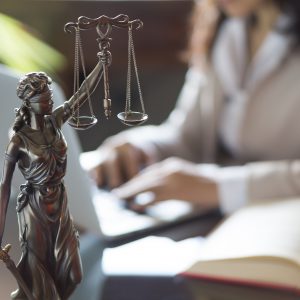 Litigation and Legal Defense
